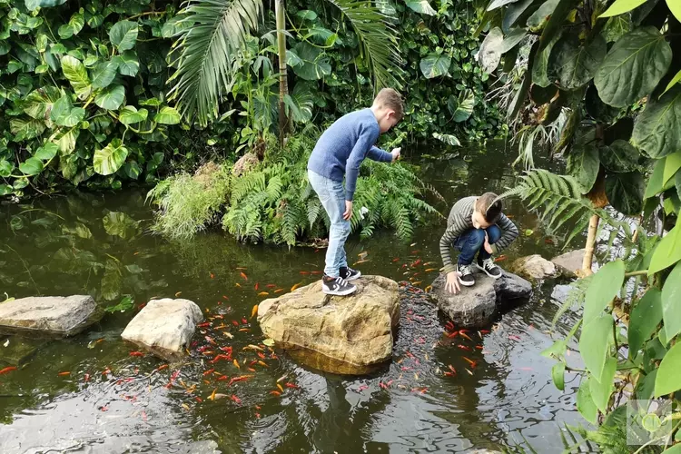 Vlindertuin Vlindorado vanaf Valentijnsdag geopend