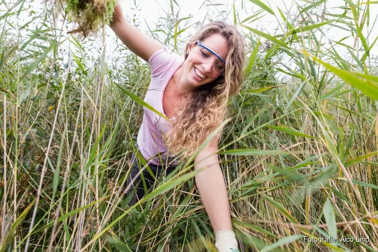 Jongeren helpen de natuur, Landschap Noord-Holland zoekt nog groene trainees