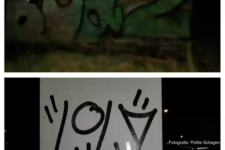 Twee jonge graffitispuiters bij schuur in Oudesluis betrapt, gevlucht maar tóch gearresteerd
