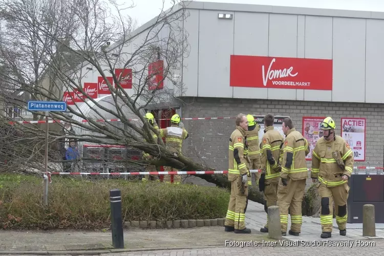 Boom omgewaaid op Platanenweg