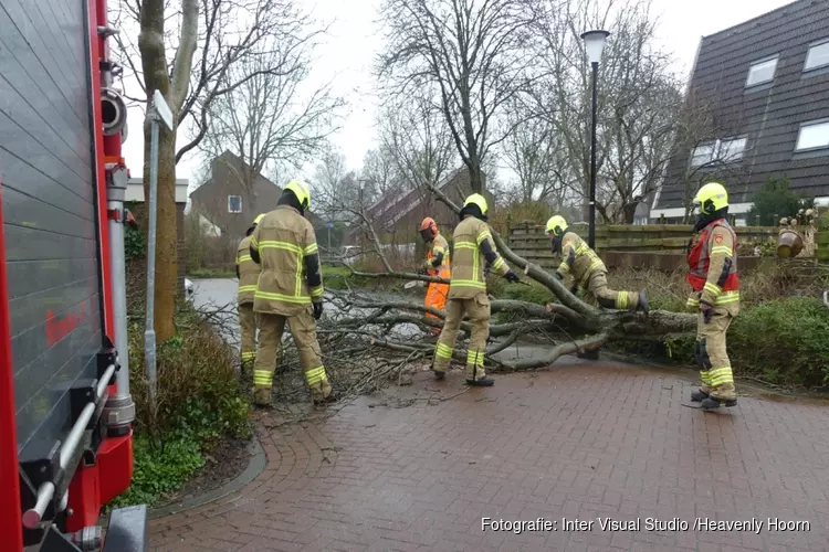 Boom Schagen over de weg