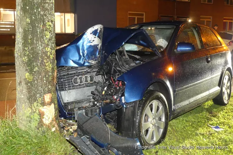 Auto ramt eerst geparkeerde auto en daarna boom, twee gewonden