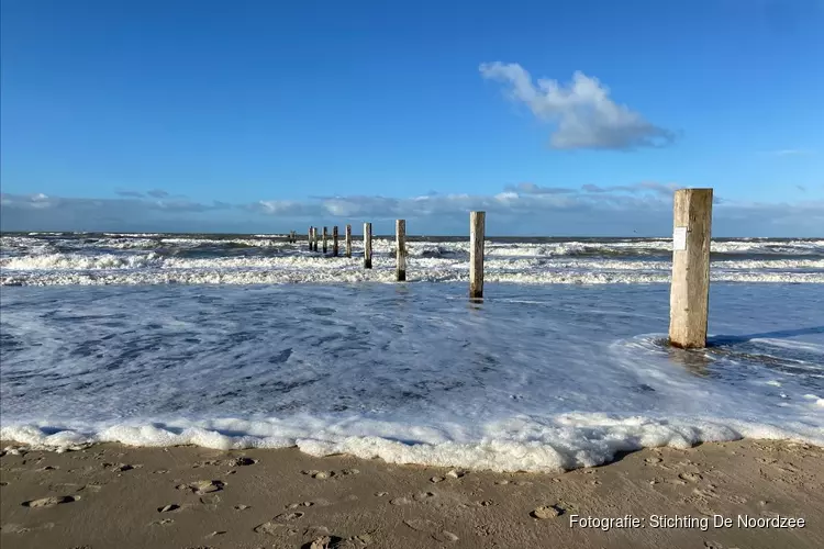 De Noordzee wordt schoner: een kwart minder strandafval dan tien jaar geleden