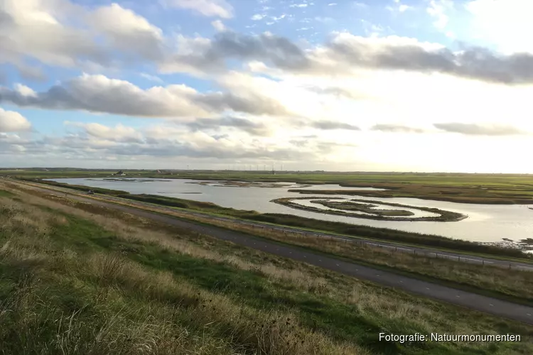 Bescherm de broedvogels in de Harger en Pettemerpolder