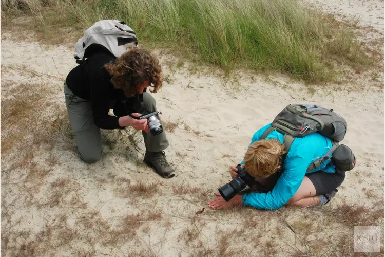 Fotowandeling door het Zwanenwater