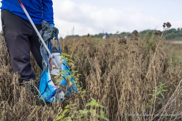 Staatsbosbeheer organiseert opschoondag in Schoorlse Duinen en bij het Robbenoordbos