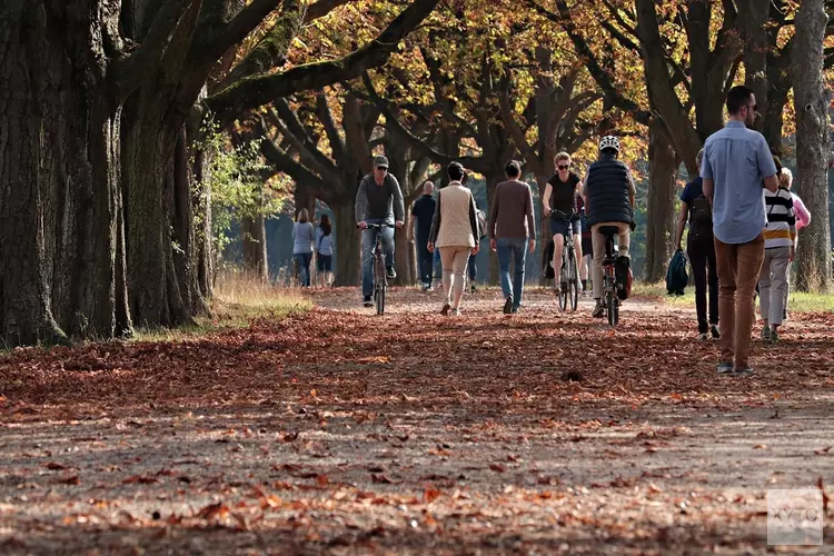 Droger weer verwacht bij start van de herfst