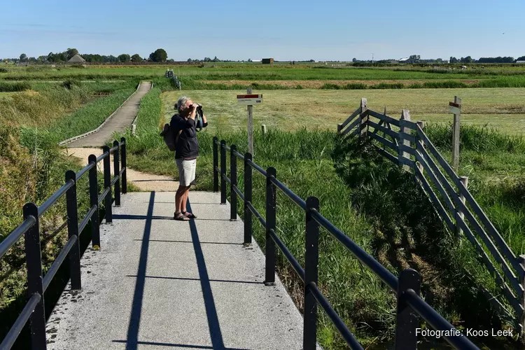 Ontdek met gids Struingebied Kruiszwin bij Anna Paulowna