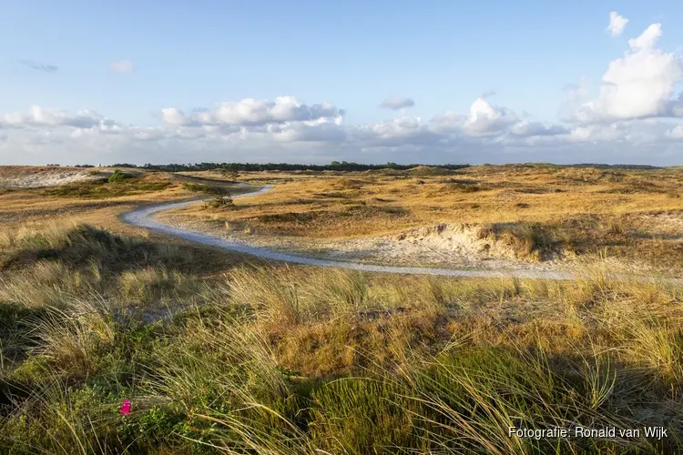 Handen uit de mouwen in de natuur van de Noordkop!