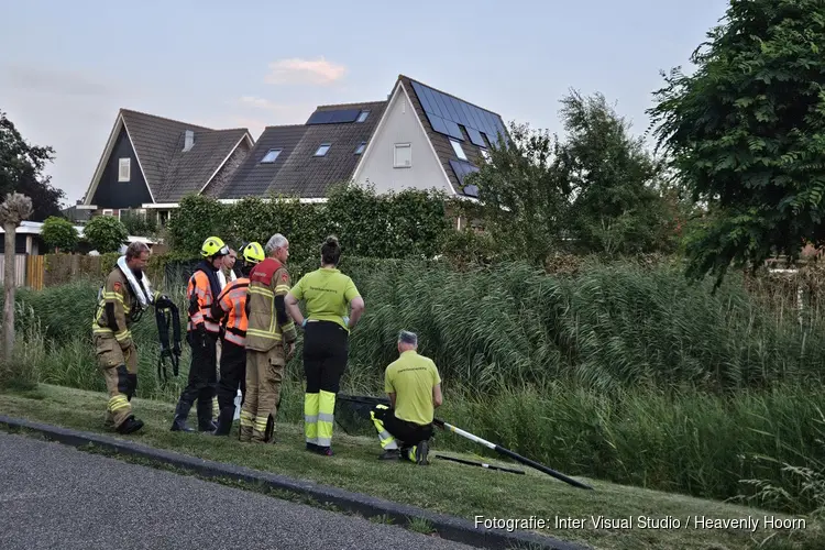 Zwaan in problemen in slootje in Schagen