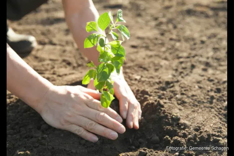 Wij planten 460 nieuwe bomen