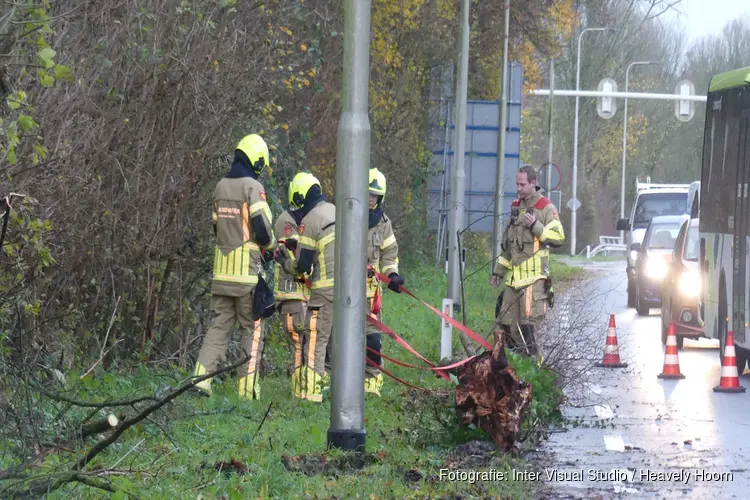 Boom omgewaaid door harde wind bij Schagen