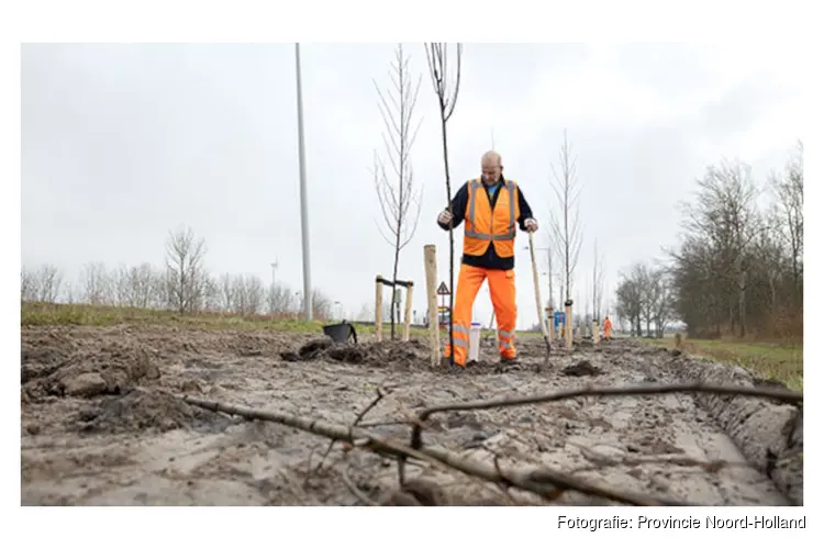 Bomen langs N241 tussen Schagen en Verlaat vervangen