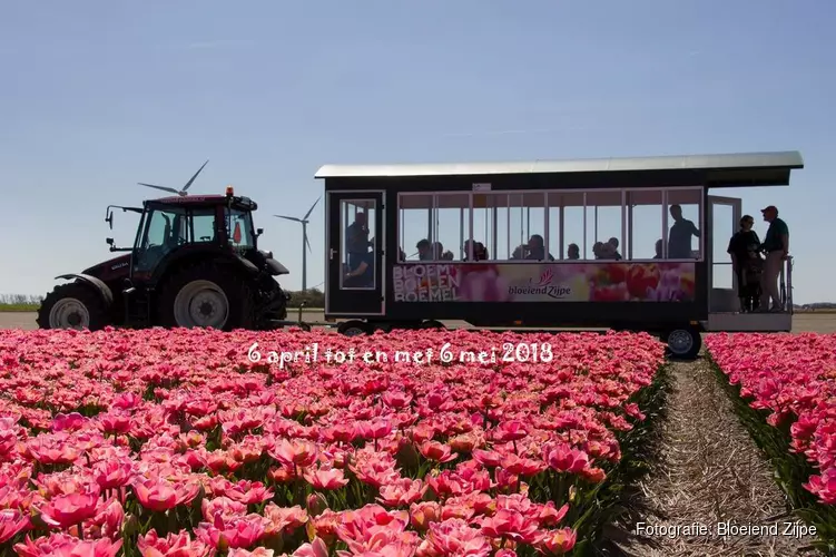 Twee nieuwe activiteiten bij het kleurrijkste voorjaarsevenement in de tuin van Schagen van 6 april t/m 6 mei 201